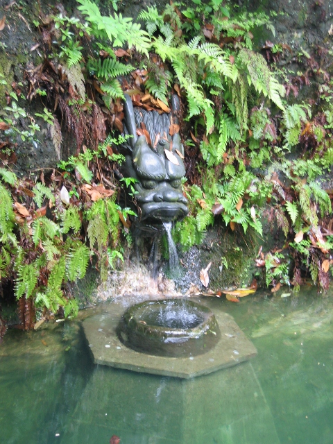 Dragons Well in Hangzhou, Lung Ching