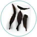 China Bai Ye Dancong Oolong Tea Wet Leaves