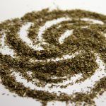 Yerba Mate Tea Leaves