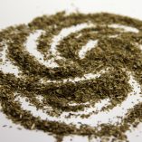 Yerba Mate Tea Leaves