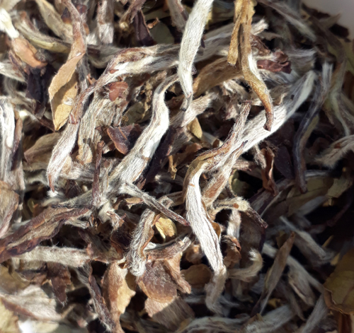 White Peony King Tea Cake Loose leaves ready for infusing