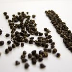 China-Jasmine-Dragon-Pearl-Tea China Jasmine Dragon Pearl Tea Leaves