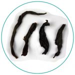 MilanXiang Dancong oolong wet tea leaves