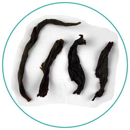 MilanXiang Dancong oolong wet tea leaves