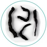 China Rougui oolong wet leaves