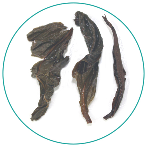 Shui Xian Water Sprite Oolong wet tea leaves