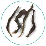 XuePian Snowflake Oolong wet tea leaves