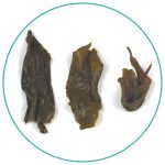 China Green Lu'An Gua Pian wet tea leaves