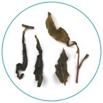 Taiwan Paochong MZ wet tea leaves