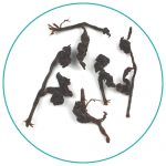Taiwan Red Oolong wet tea leaves