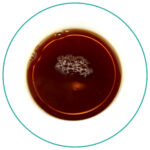 Indian Masala Chai blend without milk