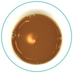 Indian Masala Chai blend with milk