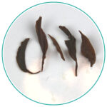 China Black Jin Jun Mei wet leaves