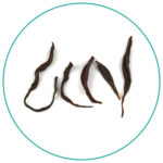 China Black Keemun Black Snail wet tea leaves