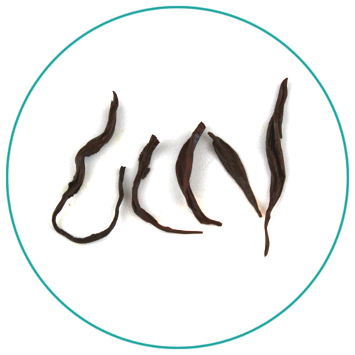 China Black Keemun Black Snail wet tea leaves