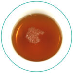 Taiwan Extra Toppest Oriental Beauty Oolong infusion