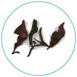 Taiwan Extra Toppest Oriental Beauty Oolong wet tea leaves