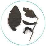 Taiwan Baked Honey Sweet Oolong Wet Tea Leaves