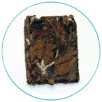 white-tea-press