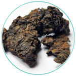 LaoChaTou close up China Bulang Lao Cha Tou Ripe Puerh 2021